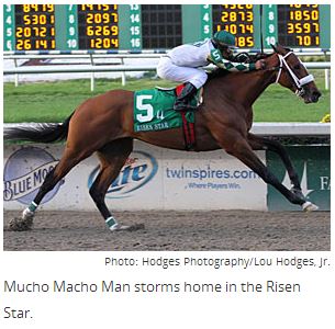 Mucho Macho Man Runs Big to Take Risen Star By Jason Shandler, Blood-Horse