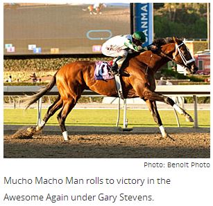 Awesome Again: Mucho Macho Man Flexes Muscles, Jack Shinar, Blood-horse